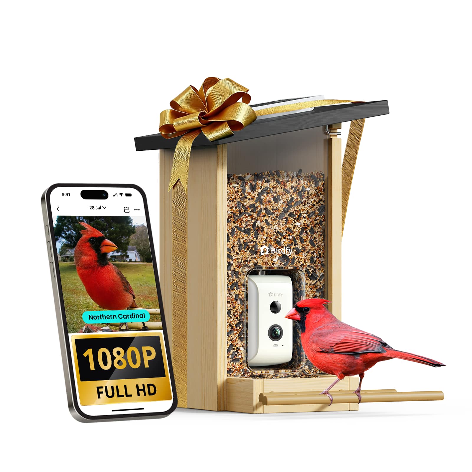 BIRDFY - Smart Bird Feeder with Camera, Bird Watching Camera with Solar Panel, AI Identify 6000+ Species - Ebony product ima…