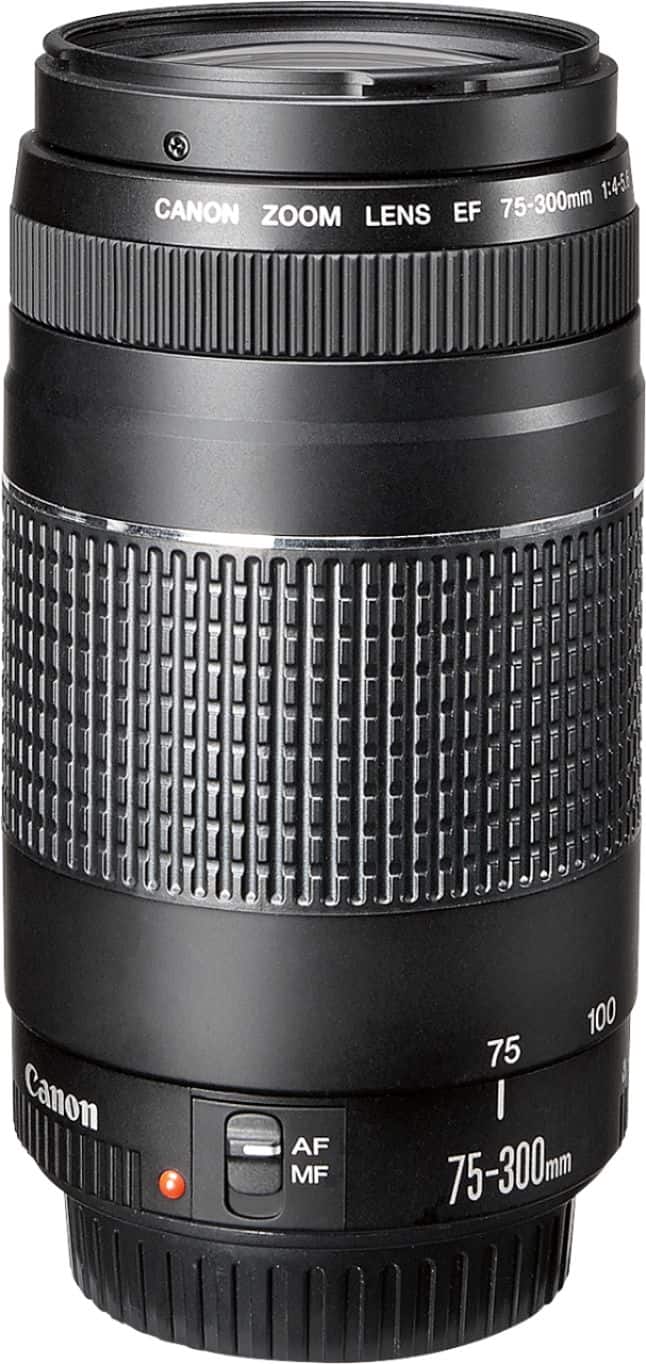 Canon - EF75-300mm F4-5.6 III Telephoto Zoom Lens for EOS DSLR Cameras - Multi product image
