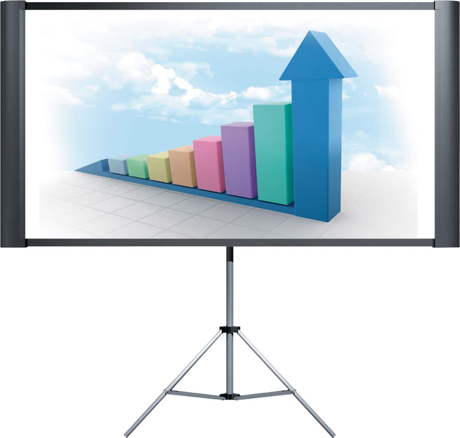 Epson - Duet 80" Portable Projector Screen - Black product image